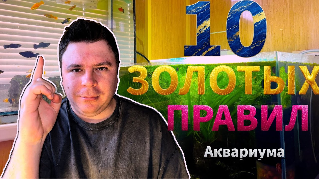 Вы ОБЯЗАНЫ знать эти ГЛАВНЫЕ ПРАВИЛА содержания любого аквариума ‼️