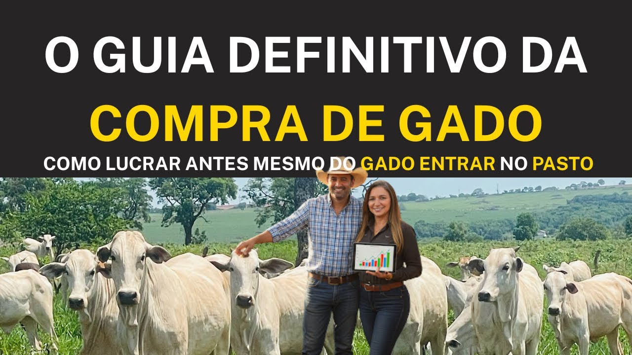 O LUCRO Começa na COMPRA: O Guia que TODO Pecuarista INICIANTE ou mesmo EXPERIENTE precisa.