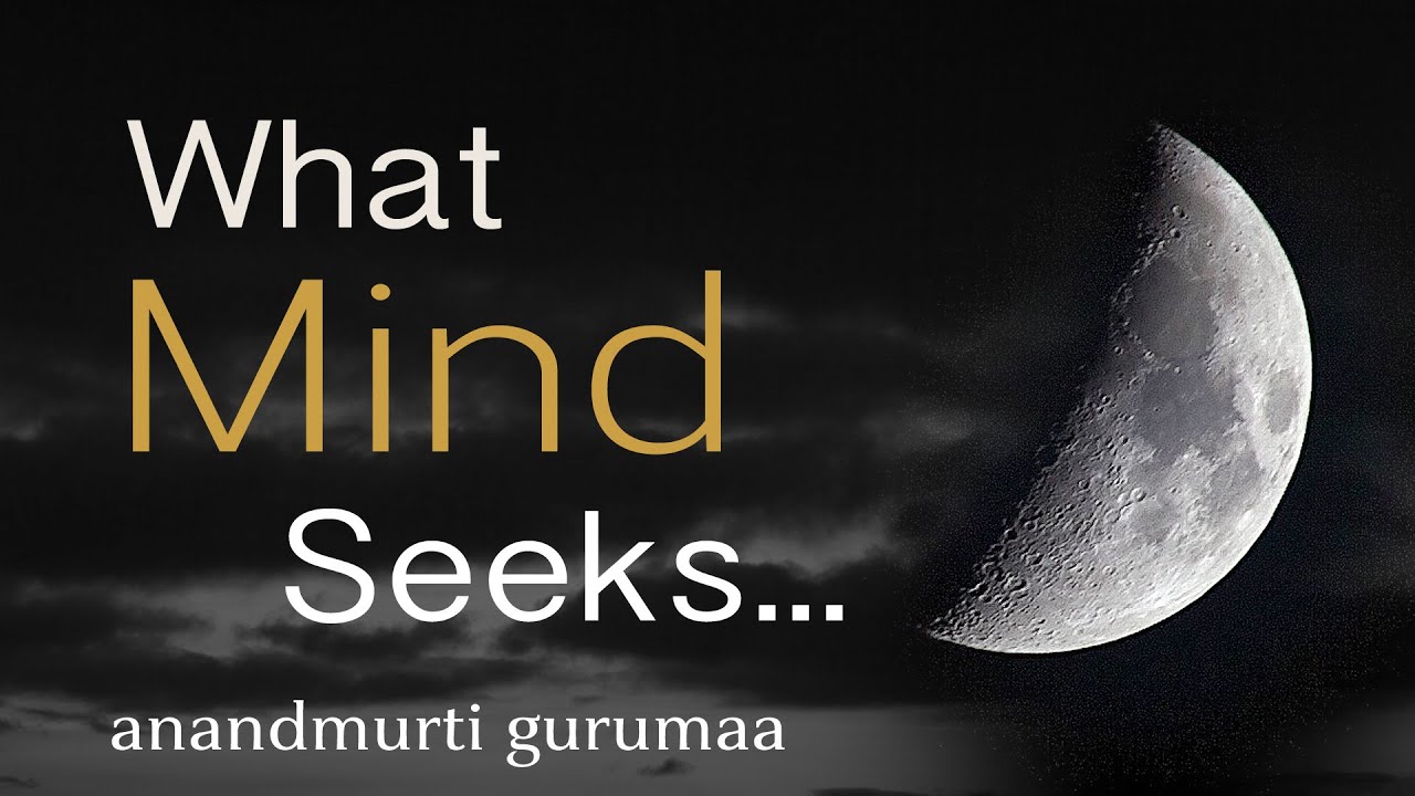 What Mind Seeks? (English)
