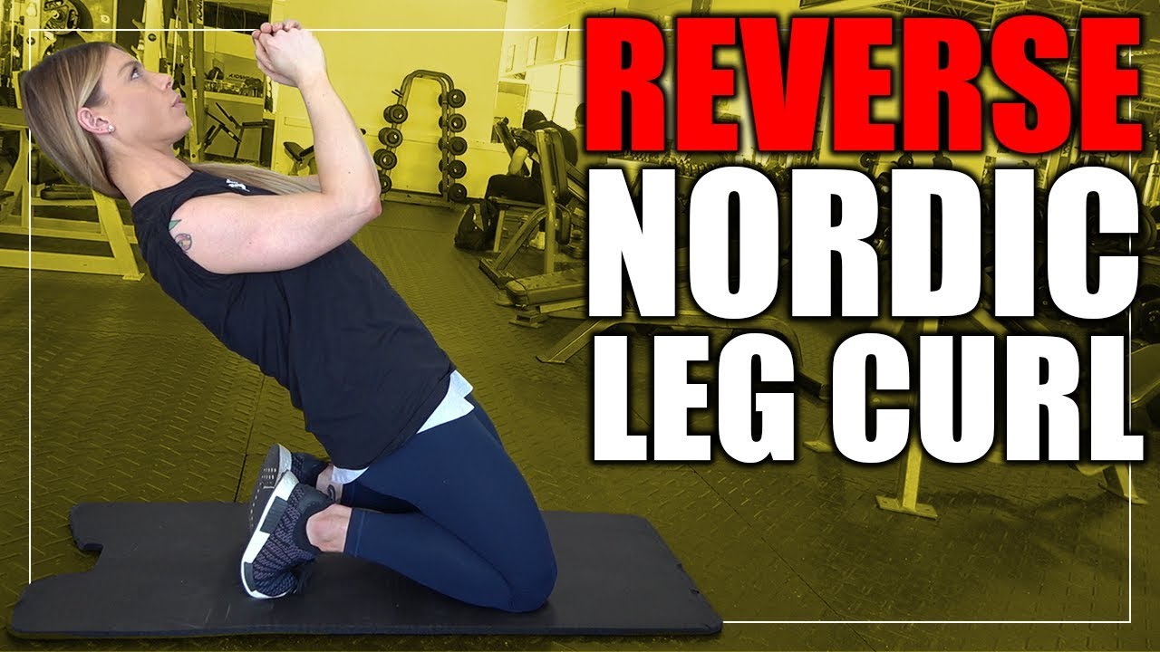 Exercise Index - Nordic Knee Extension / Reverse Nordic Leg Curl