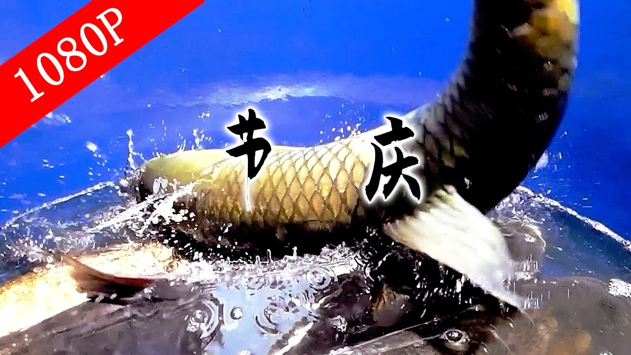 老广的味道第5季 ep2 节庆 | 1080P 风靡老广的美食节日，是你想要的盛宴吗