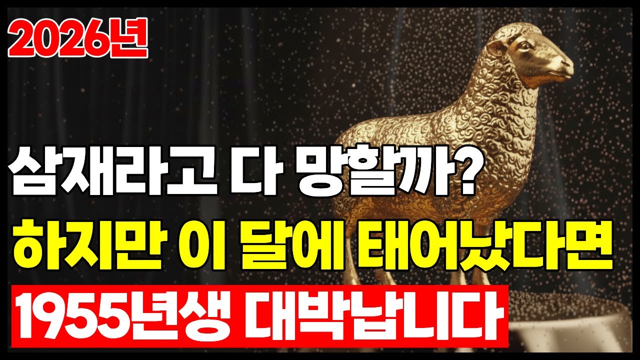 월별 비결 2026년 1955년생 양띠 신년운세 병오년 72세 운명의 대반전이 시작된다 I 토정비결 월별 총정리