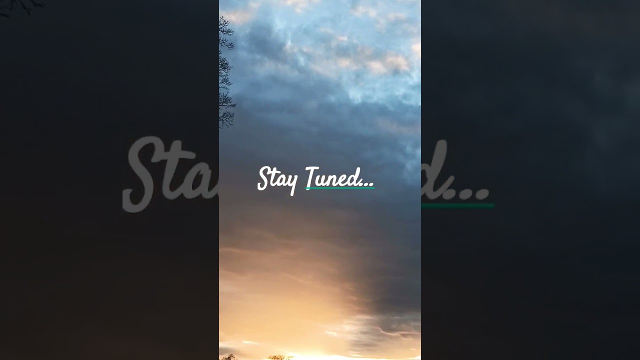 Next Level Live Episodes as the Energy Shifts... 