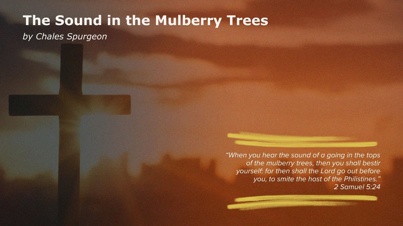 The Sound In The Mulberry Trees