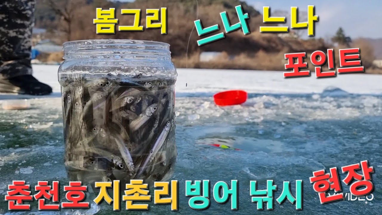 춘천호 지촌리 빙어 낚시 현장 느나 포인트 즐빙 캠낚 봄그리