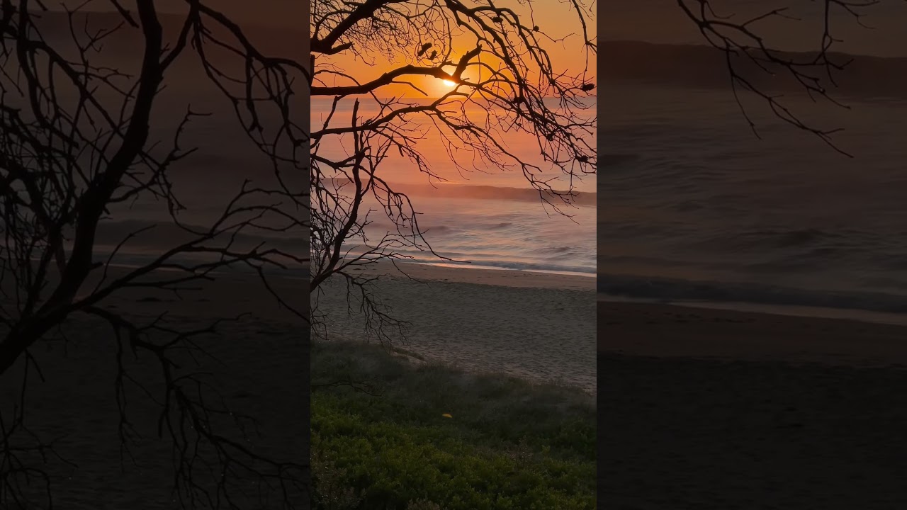 Australian Beach Sunrise #australia #nature #sunrisevideo