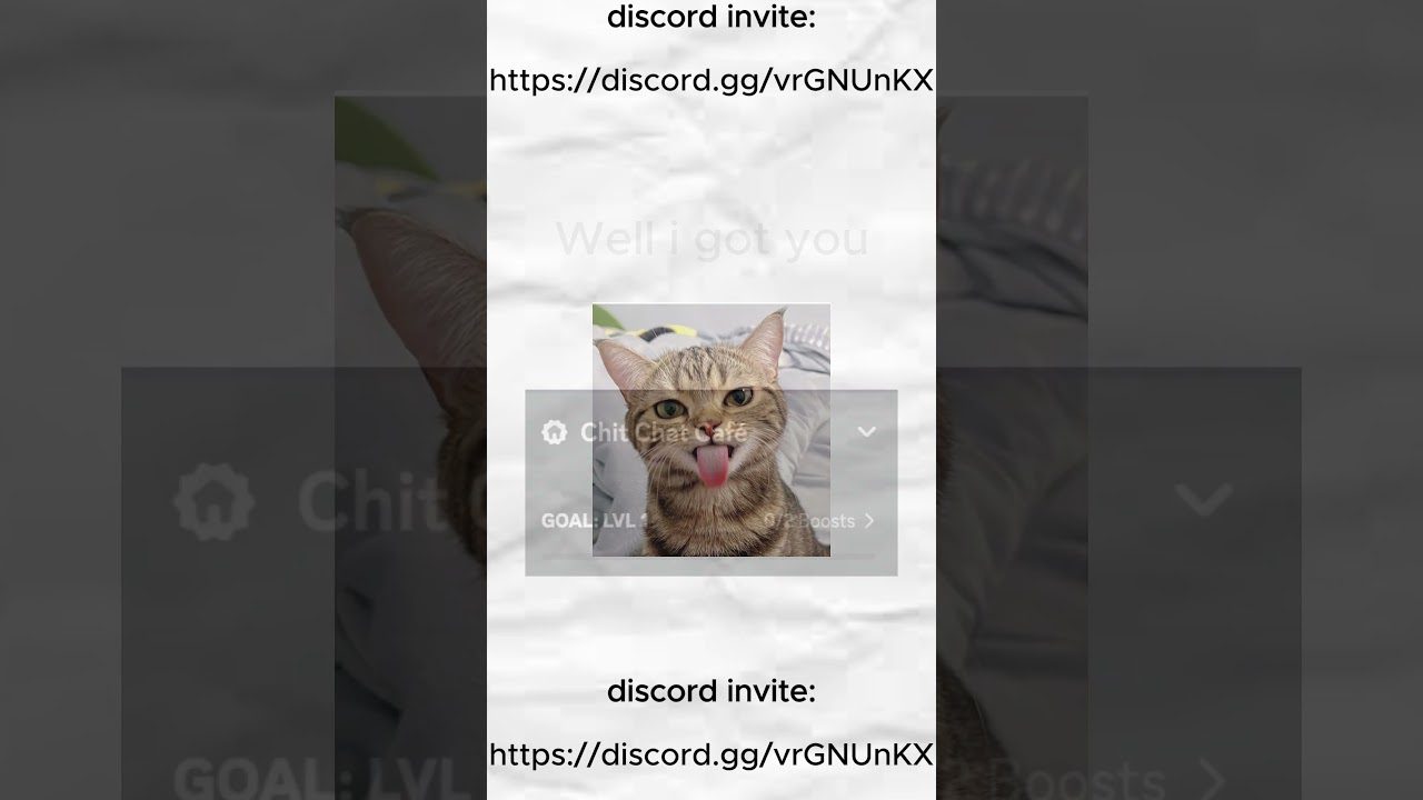 Discord server invite ( Chit Chat Caf&eacute; )