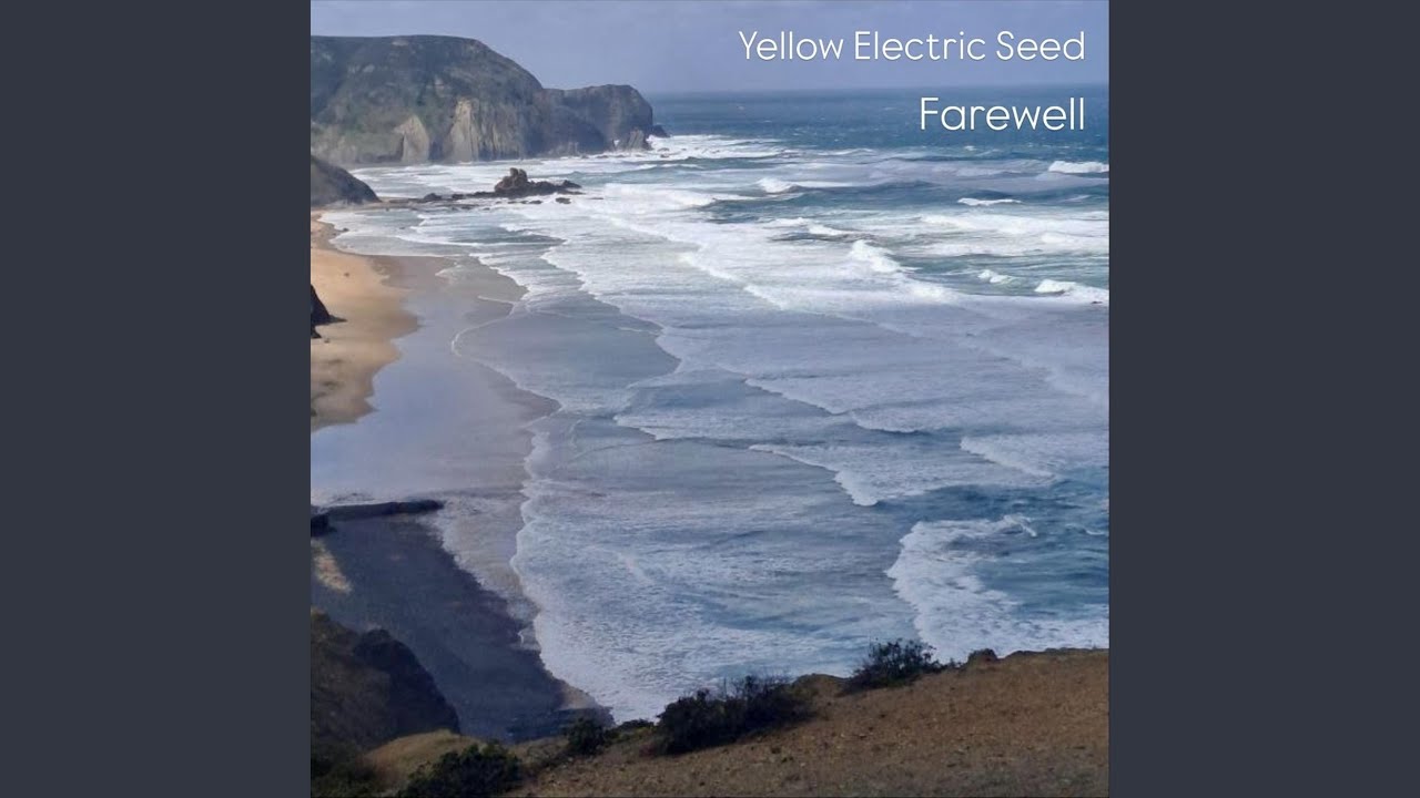 Echoes of Lived Love