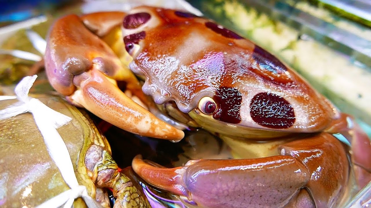Японская уличная еда - семь одиннадцать краб Японские морепродукты