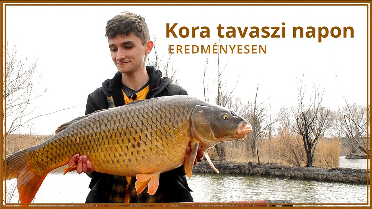 Kora tavaszi napon eredményesen🌱☀️ | Sztrehárszki Levente