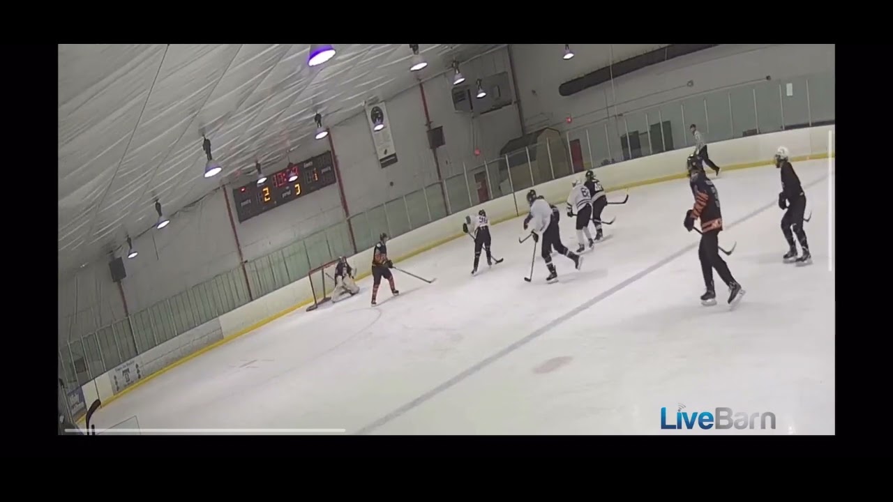 Apple and goal in pickup game.