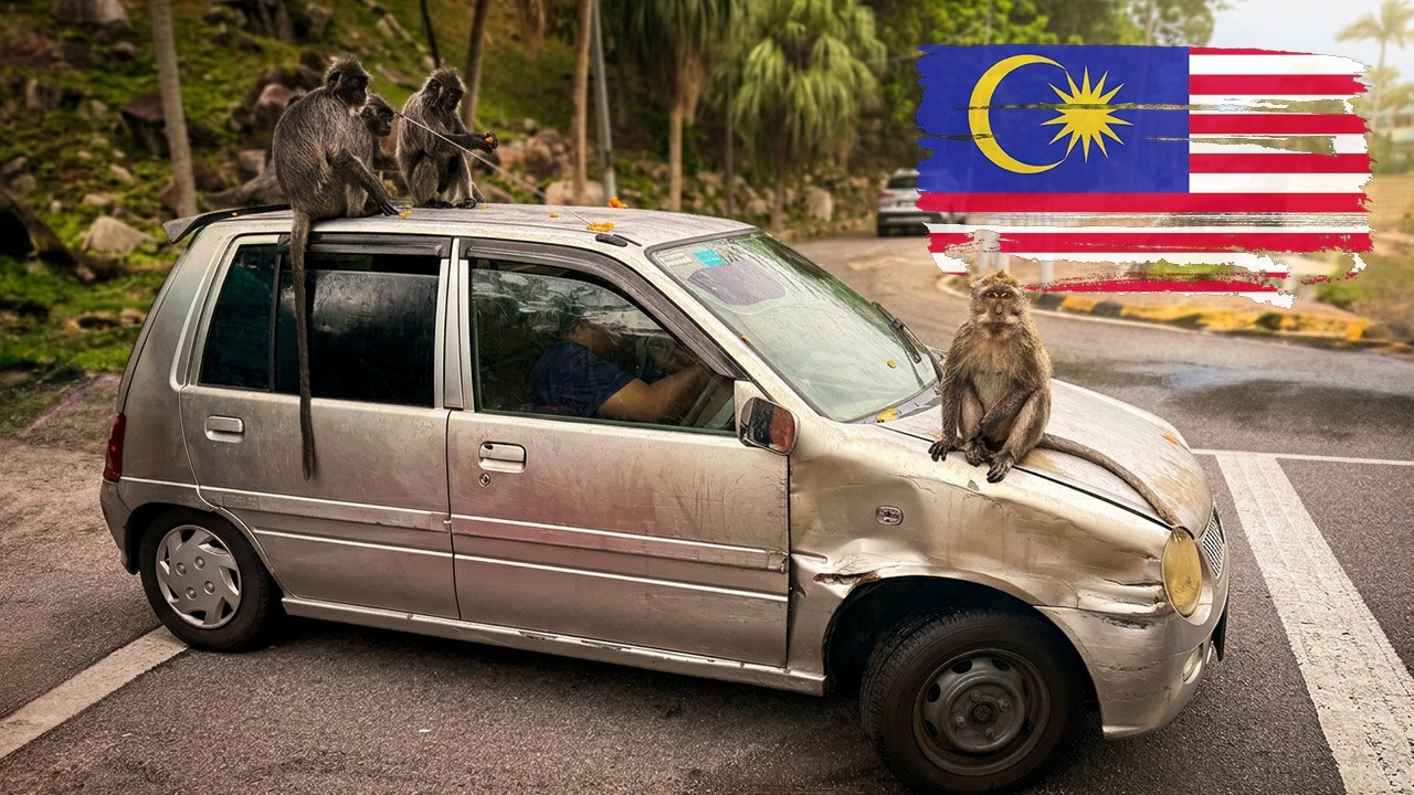 Wynajem samochodu w Malezji - Wszystko co musisz wiedzieć!