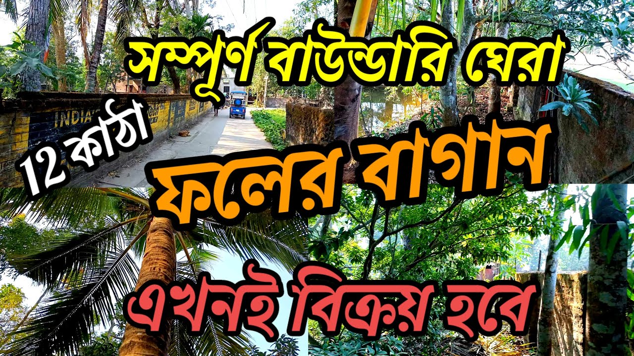 সম্পূর্ণ প্রাচীর ঘেরা, স্টেশনের পাশে , ফলের বাগান বিক্রয় আছে ,4 wheeler available./low price.
