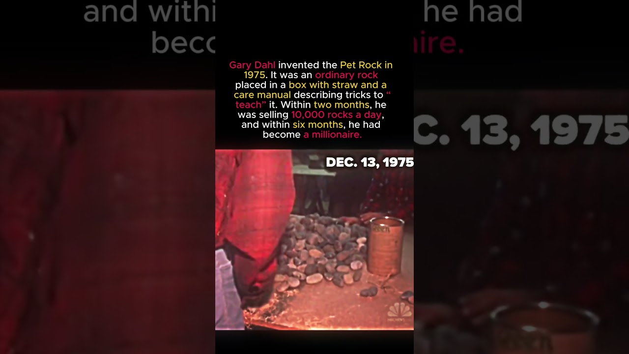 The Man Who Became a Millionaire Selling Rocks