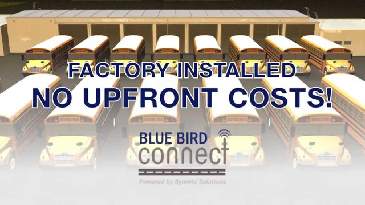 Blue Bird Connect