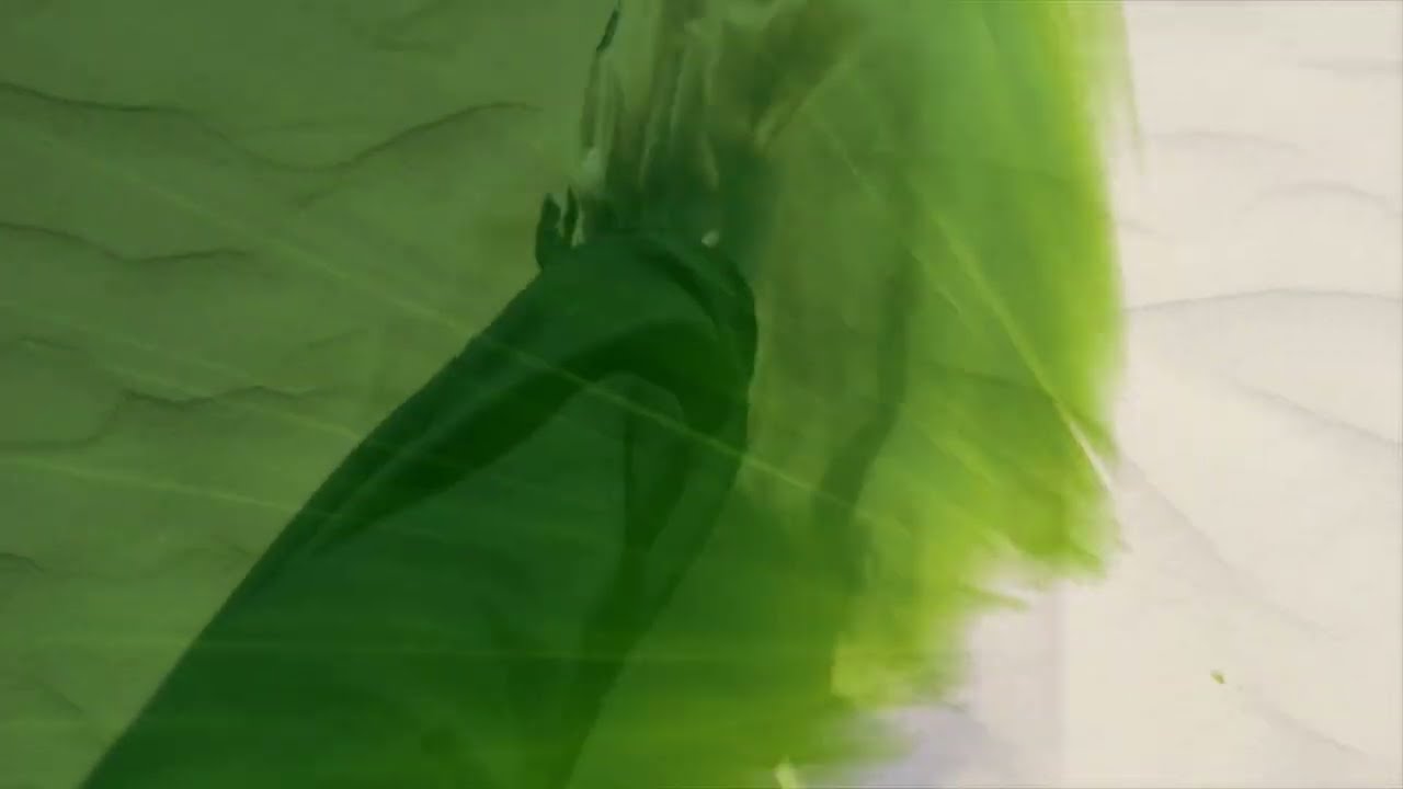 Siberian Summer - Let It Go (Official Video)