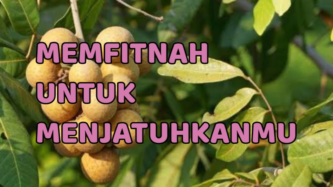🎆 MEMFITNAH UNTUK MENJATUHKANMU 🎆