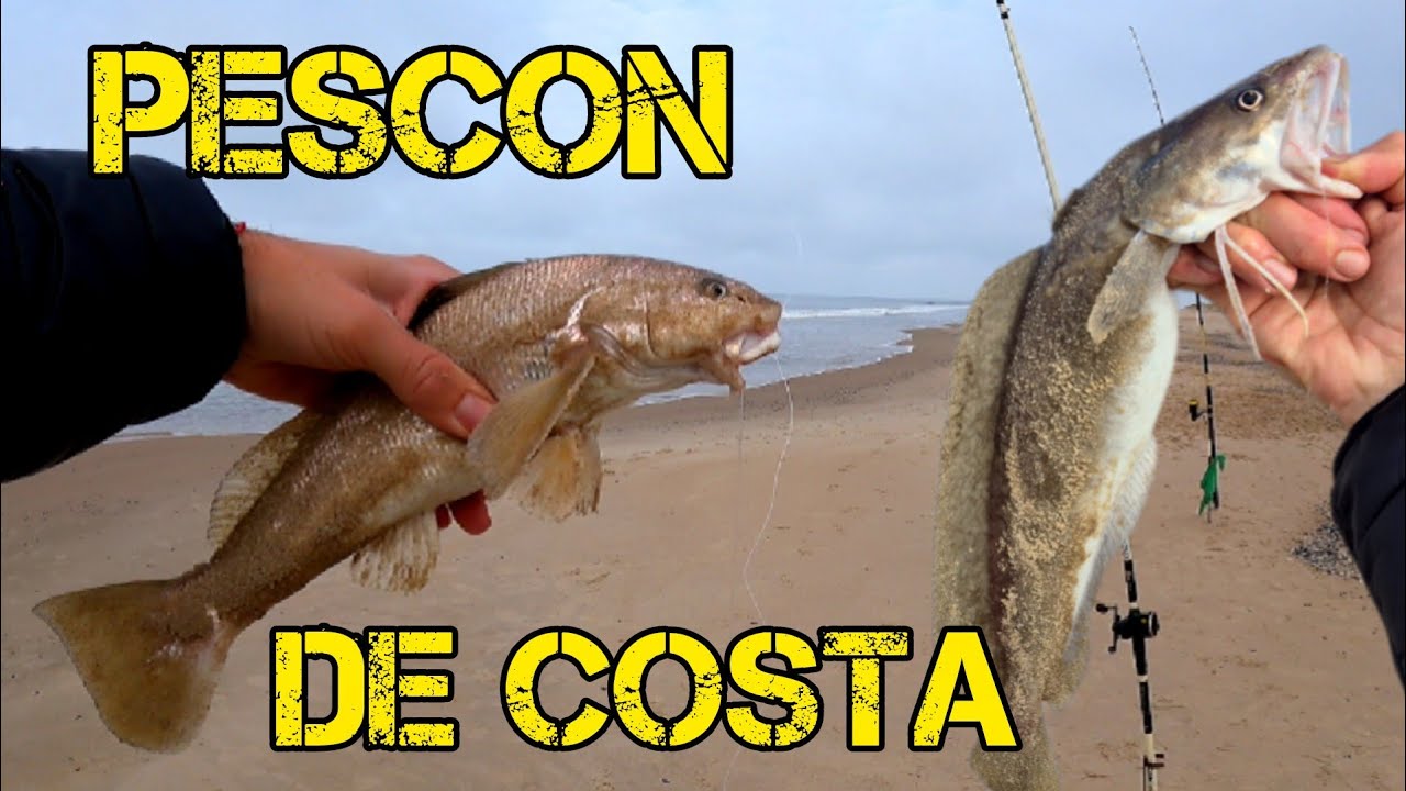 GRAN PESCA DE COSTA, LA PESCA TE SORPRENDE CUANDO MENOS LO ESPERAS