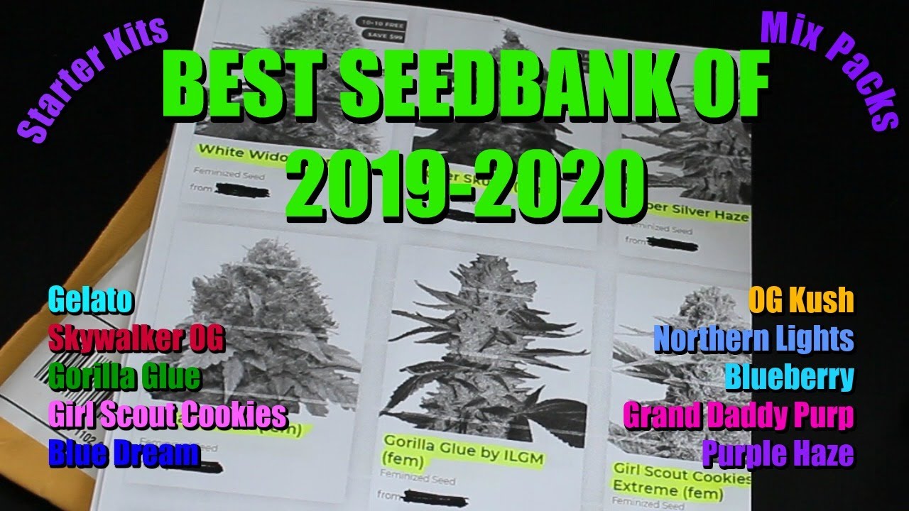 best Seedbank of 2020