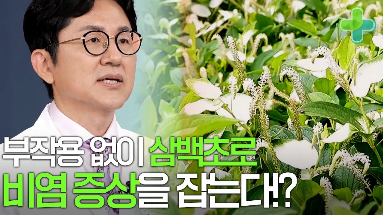 삼백초가 비염에 좋다!?