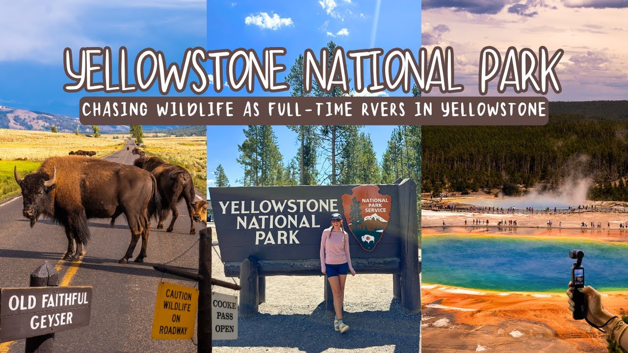 Yellowstone National Park as Full-Time RVers