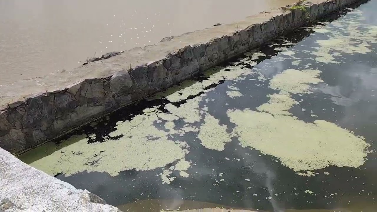 Lagoa Histórica Nosso Curimataú Paraibano 18/2/26 
