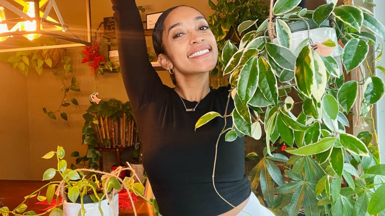 Repot my plants with me | it’s been over 3 years!!