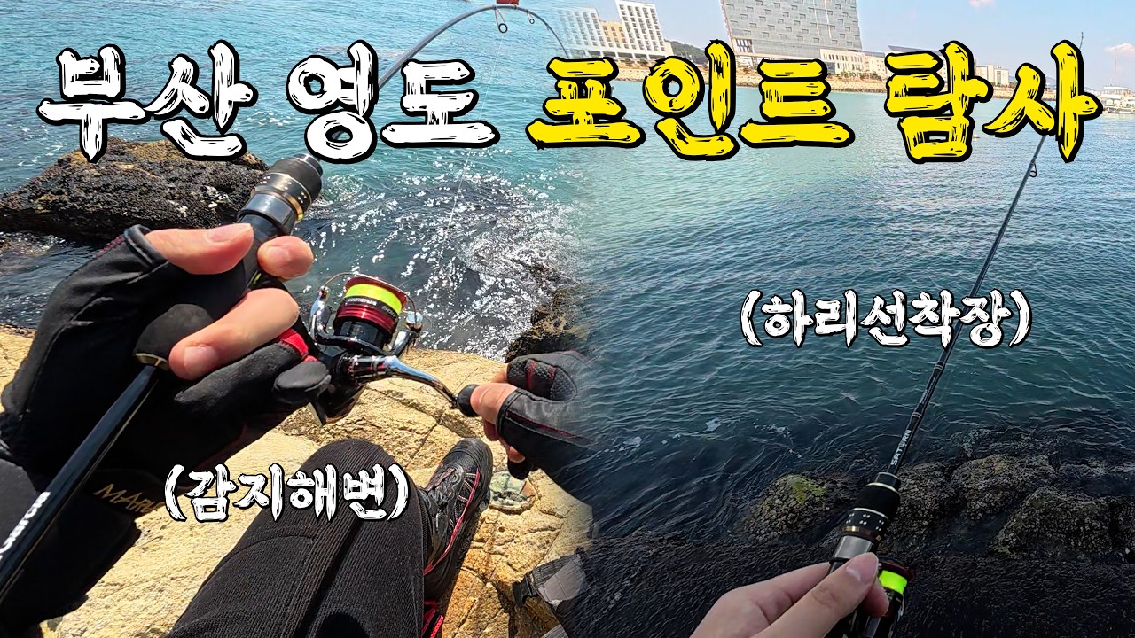 [부산 영도] 낚시 가기 전 1분만 투자하세요! 현지인 추천 포인트 탐 (하리항, 감지해변)