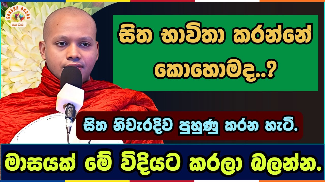 සිත නිවැරදිව පුහුණු කරන හැටි | Hasalaka seelavimala thero | හසලක සීලවිමල හිමි | #බණ #ධර්මදේශනා