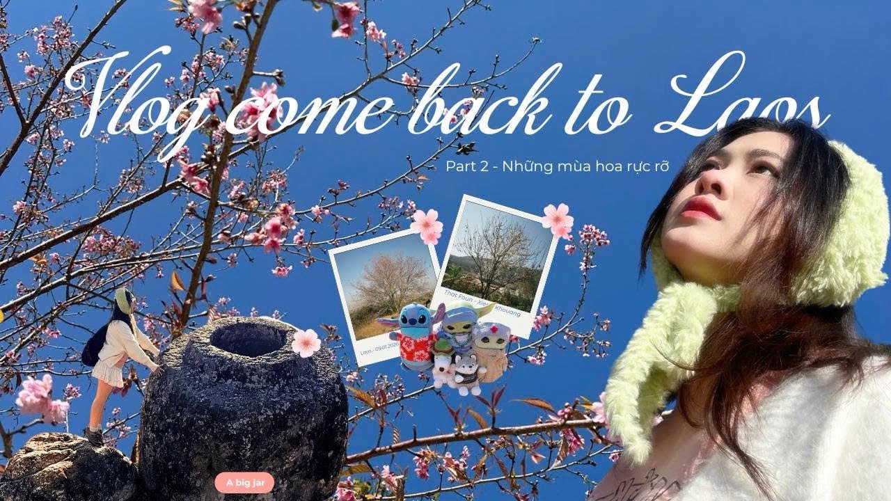 Vlog | Come back to Laos part 2✨