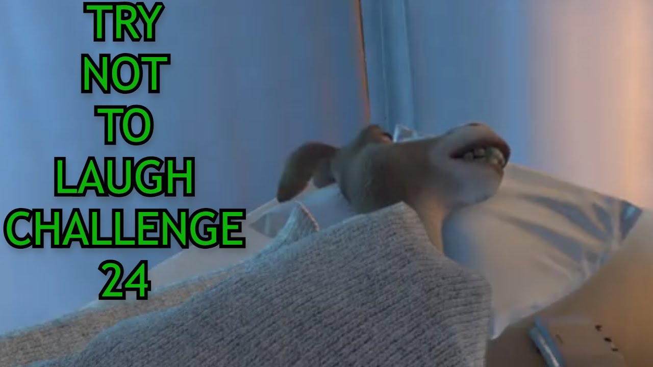 Try Not To Laugh Challenge 24 - By Jae Bean
