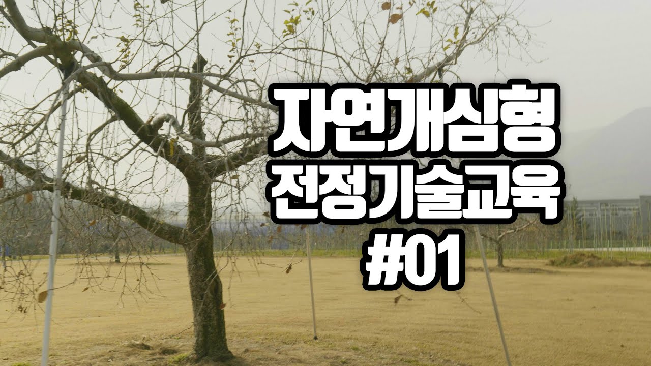 자연개심형 사과 전정기술 #1 (사)전국사과생산자협회 교육자료