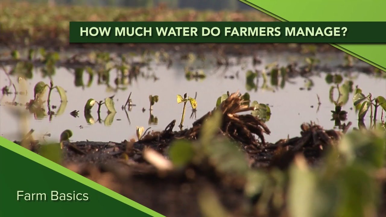 Farm Basics #1157 How much water do farmers manage?  (Air Date 6-7-20)