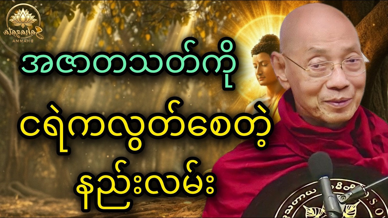 အတိတ်ကအမှားတွေပြင်ဆင်နည်း