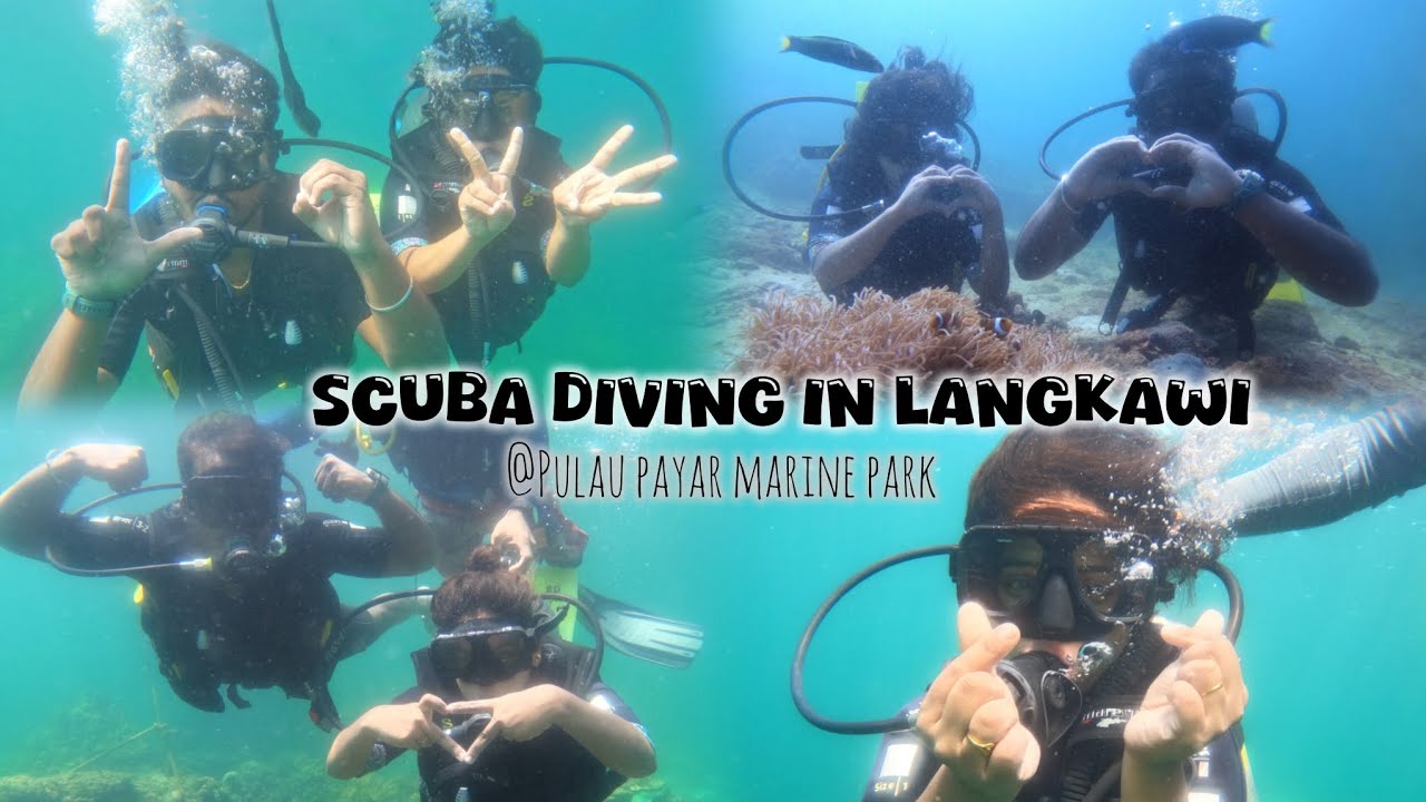 Scuba Diving in Langkawi | Pulau Payar Marine Park | M&M🖤 #homiesvlogstamil #langkawi #scuba #homies