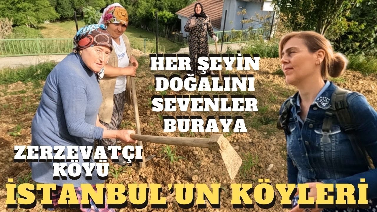 HER ŞEYİN DOĞALINI SEVENLER BURAYA - İSTANBUL'UN KÖYLERİ - ZERZEVATÇI KÖY, BEYKOZ