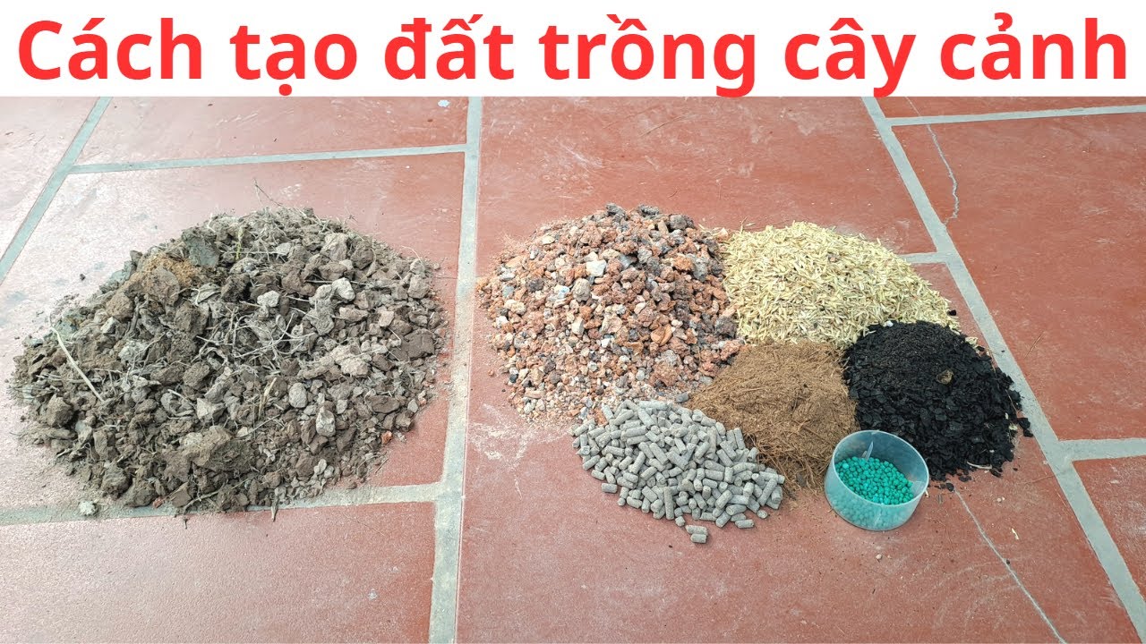 Cách tạo đất trồng cây Trà My| đất trồng cây cảnh|