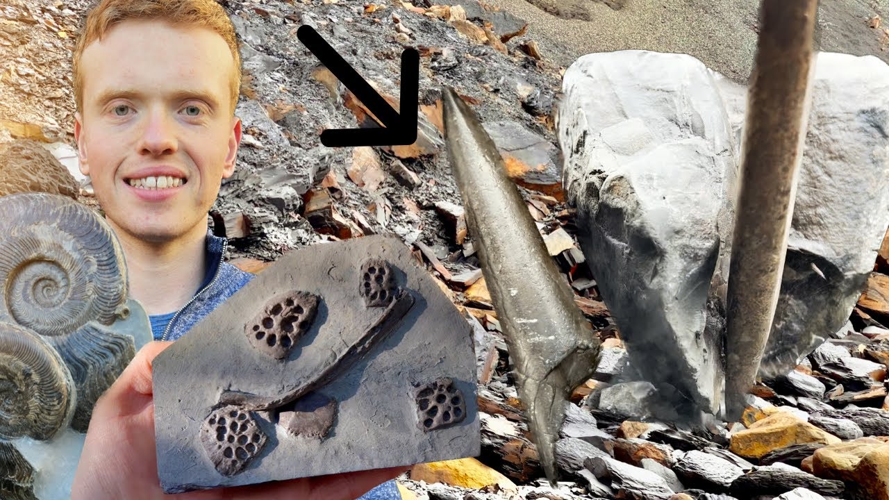 Squid, Crocodile Bones, Large Ammonite! 3 Day Outdoor Hunt! | Fossil Hunter