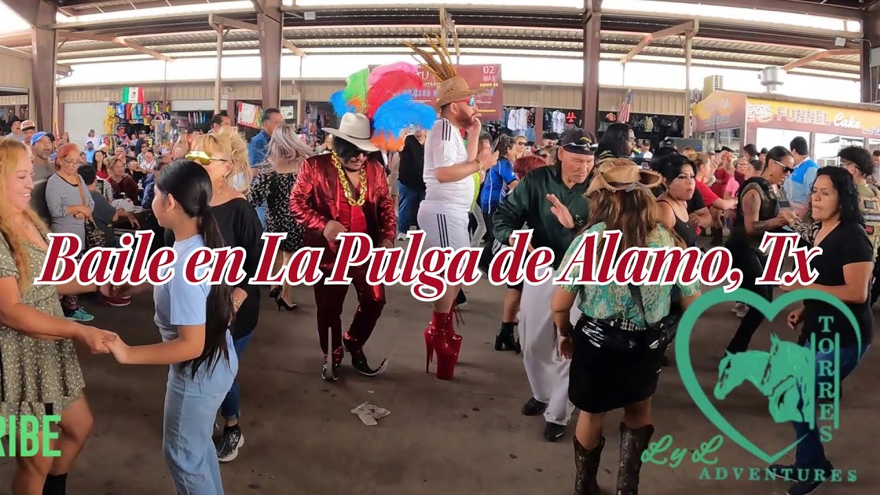 DOMINGO en La Pulga de Alamo Tx