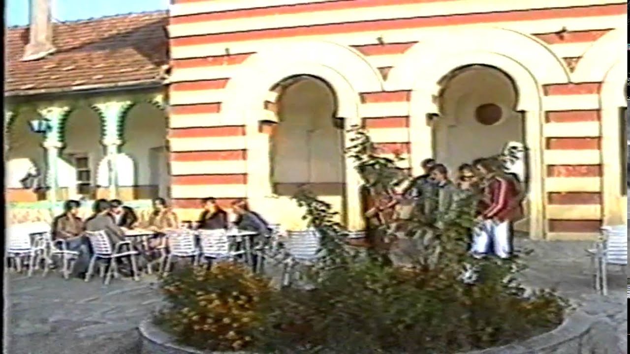 BRACA BABAJIC-SVAKOG DANA RAZMISLJAM O TEBI  VIDEO