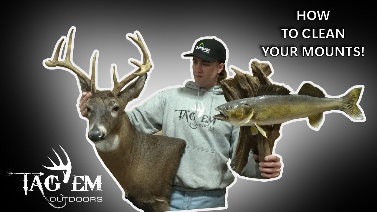 How to Clean Your Mounts | Taxidermy | Tip Of The Week