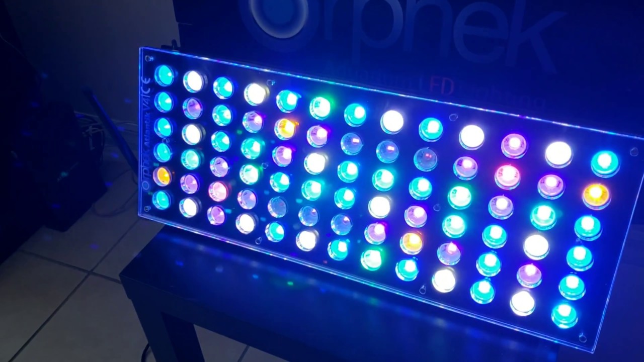 Orphek Atlantik V4 LED Aquarium Light installation Video