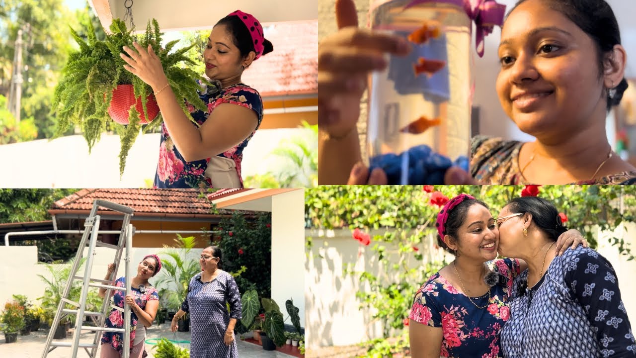 Setting up my Home Garden | Bokeh | Meghna Vincent