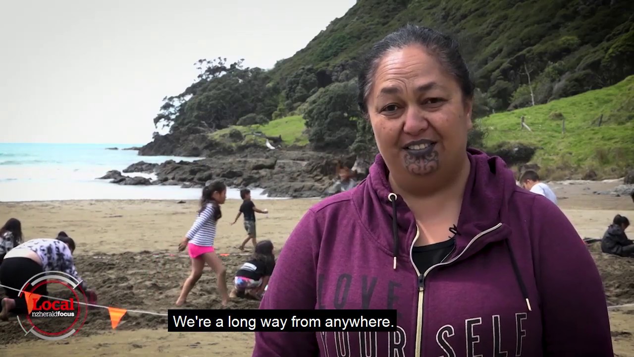 Port opposed in Hicks Bay | Local Focus