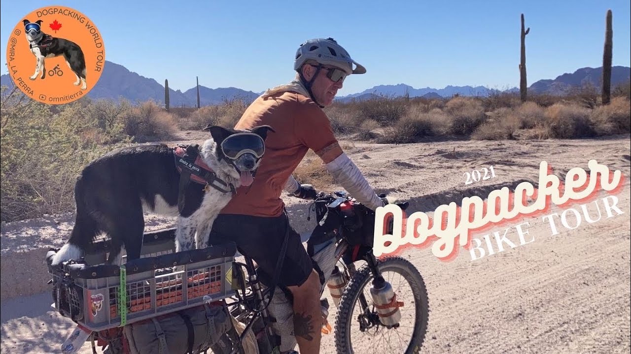 Bikepacking bike check - for Dogs