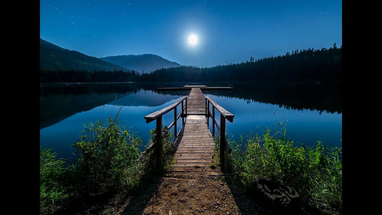 🌿森林之夜 – 宁静舒缓音乐，助眠与冥想之声 🌿Night at Forest – Peaceful Relaxing Music for Deep Sleep & Meditation