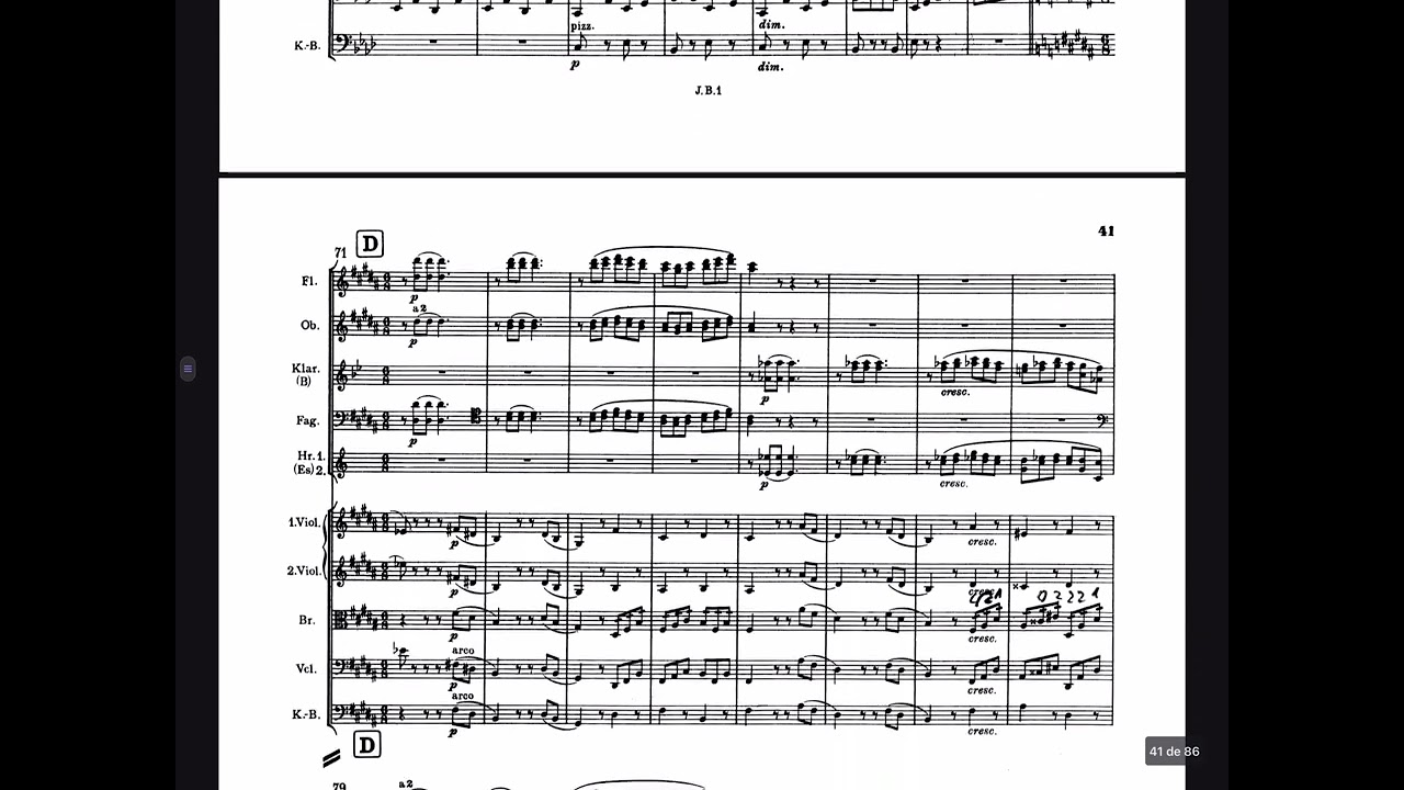 BRAHMS: SINFONÍA 1: III, un poco allegretto e grazioso