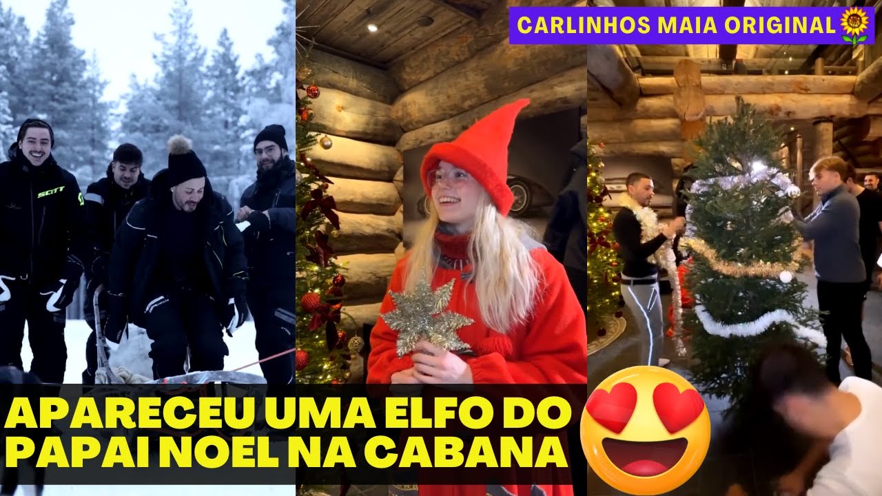 ELE ENTROU NA MATA | CARLINHOS MAIA FOI CORTAR UMA ÁRVORE DE NATAL NA MATA 😍😍 | CARLINHOS MAIA 🌻