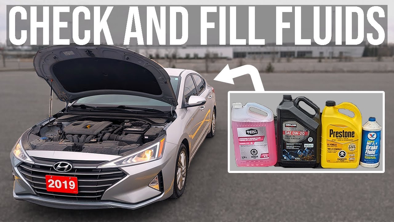 Как проверить и залить жидкости [ПОЛНОЕ РУКОВОДСТВО] - Hyundai Elantra (2019-2020)