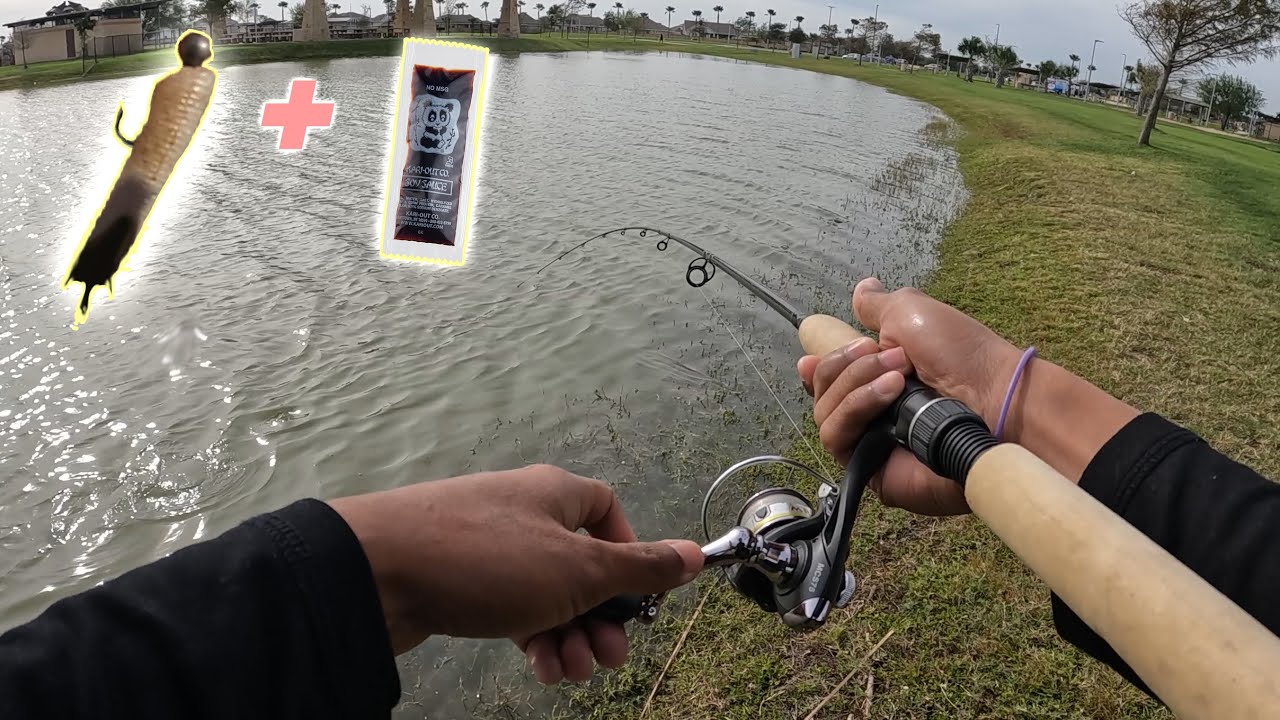 SOY SAUCE INFUSED BAITS (BEST BAIT!)